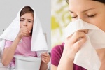 Miễn dịch hô hấp có vai trò gì với phòng, điều trị viêm mũi dị ứng? 
