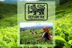 Trà Tích Lan - biểu tượng cho những loại trà chất lượng nhất
