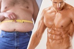 5 cách giảm mỡ bụng mà không cần tập thể dục
