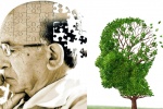 Vì sao người mắc bệnh Alzheimer dễ tử vong?