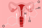 Nồng độ progesterone thấp có thể gây khó thụ thai: Khắc phục thế nào?