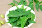 10 lợi ích của lá neem với da và tóc
