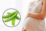 Vì sao Phụ nữ mang thai nên ăn đậu Hà Lan?