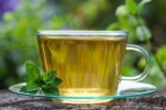 4 tác dụng phụ ít biết của trà bạc hà