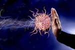 6 hiểu lầm về hệ miễn dịch bạn nên biết để bảo vệ mình