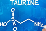 8 lợi ích của taurine với cơ thể