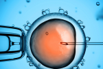 Những điều buộc phải biết khi chuẩn bị thụ tinh trong ống nghiệm - IVF