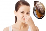 Âm đạo có mùi khó chịu: 6 biện pháp khắc phục tự nhiên và an toàn