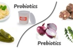 Probiotics và Prebiotics có vai trò gì với sức khỏe?