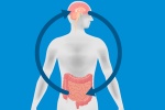 Bệnh Parkinson có mối liên hệ với ruột thừa?