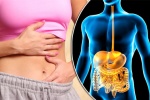 5 loại thực phẩm nên hạn chế nếu bị hội chứng ruột kích thích (IBS)