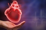 Làm gì để giảm nguy cơ mắc các vấn đề tim mạch trong mùa Đông?