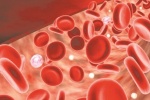 Làm thế nào để tăng mức độ huyết sắc tố trong máu?
