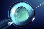 Thất bại khi làm IVF thụ tinh ống nghiệm: Nguyên nhân và giải pháp