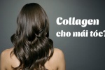 Tại sao bạn cần collagen để có mái tóc óng mượt, chắc khỏe? 
