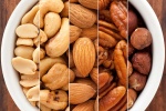 Các loại hạt giúp phòng ngừa biến chứng tim mạch cho người đái tháo đường