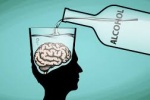 Rượu bia ảnh hưởng như thế nào đến não của bạn?