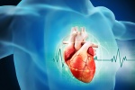 Chuyên gia chia sẻ 5 lý do khó ngờ gây đau tim ngay cả khi sống lành mạnh
