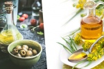 Dầu hạt cải và dầu olive, loại nào tốt hơn cho sức khỏe?