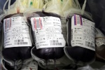 Đột phá y học: Tìm ra cách chuyển đổi các loại nhóm máu về nhóm máu O