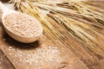 Cám lúa mì là gì mà nhiều người ưa chuộng đến vậy?