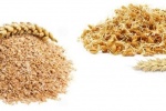 Sử dụng cám lúa mì hay mầm lúa mì thì tốt hơn?