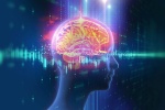 NeuroBloom - Nguyên liệu mới giúp cải thiện chức năng não bộ