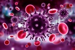 Tìm ra phương pháp mới giúp ngăn ngừa virus HIV hiệu quả gấp 10 lần