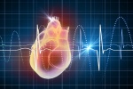 Rối loạn nhịp tim có dùng được TPCN Ninh Tâm Vương cùng thuốc Tây?