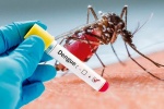 Tiểu cầu thấp có phải mắc bệnh sốt xuất huyết? 