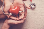 Top 14 thực phẩm tốt nhất cho trái tim, phòng ngừa bệnh tim mạch
