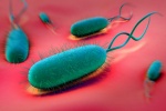 6 biện pháp tự nhiên hỗ trợ điều trị nhiễm khuẩn Hp
