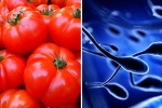 Ăn cà chua có thể giúp nam giới cải thiện chất lượng 