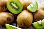 Vì sao bạn nên ăn 3 quả kiwi mỗi ngày ngay từ hôm nay?