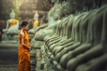 Lạm bàn Ma tính - Phật tính hay phần con và phần người