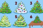 Chọn cách trang trí cây thông Noel để biết tính cách của bạn như thế nào?