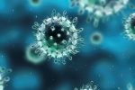 Giải đáp những thắc mắc thường gặp về bệnh cúm A