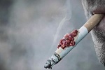 Có nên dùng TPCN Tumolung phòng ngừa phổi ung thư do hút thuốc lá?