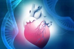 Bệnh cơ tim là gì và các dạng bệnh cơ tim thường gặp