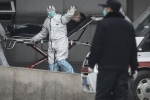Ca tử vong do nCoV ngoài lãnh thổ Trung Quốc, dịch cúm gia cầm trở lại
