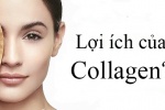 Lợi ích của việc bổ sung collagen cho cơ thể