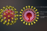 Phát hiện có 3 biến chủng của virus SARS-CoV-2 trên toàn cầu