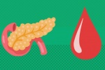 Mối liên hệ giữa bệnh suy tụy ngoại tiết và bệnh đái tháo đường