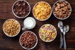 Top 5 loại ngũ cốc ăn sáng ít đường, ít tinh bột, giàu protein