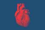 Phân biệt 2 dạng suy tim dựa theo phân suất tống máu 