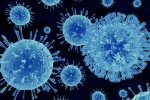Mách bạn 5 cách điều trị sốt siêu vi cho trẻ tại nhà