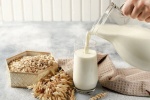 Uống sữa yến mạch mỗi ngày để tiêu hóa khỏe, giảm cân nhanh