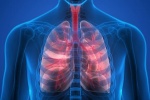 5 cách giữ cho phổi khỏe mạnh