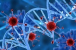Bệnh đái tháo đường làm tăng nguy cơ ung thư: DNA có phải “thủ phạm” ?
