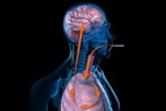 Hút thuốc lá làm tăng nguy cơ ung thư phổi di căn lên não